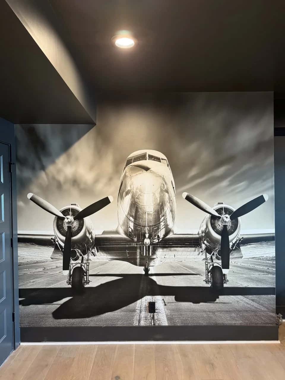 Vintage aircraft mural covering a feature wall